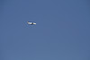 Lufthansa